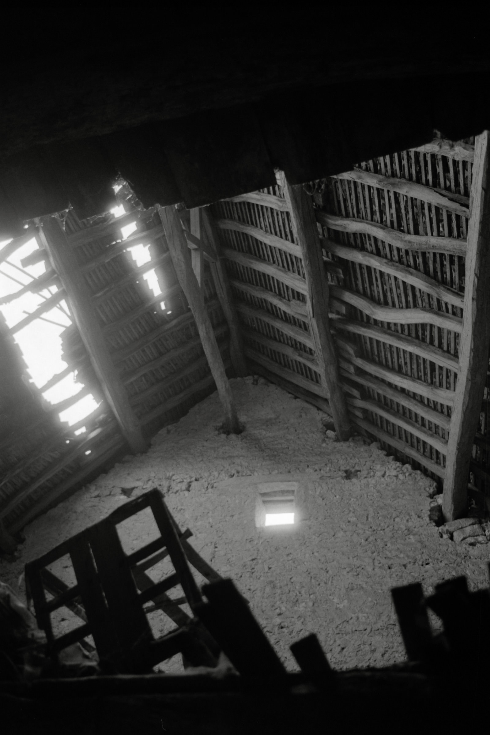 AHP F1990 09 004 sc250506 img05 NLP